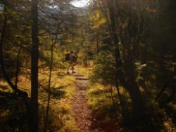 2013-10-26_Schildenstein (011).JPG